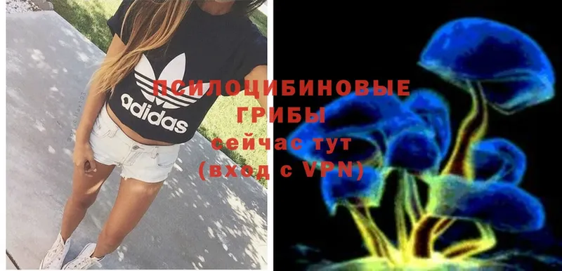 Псилоцибиновые грибы Magic Shrooms Лысково